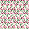 HAM106R